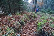 98 Discesa su sentiero di foglie